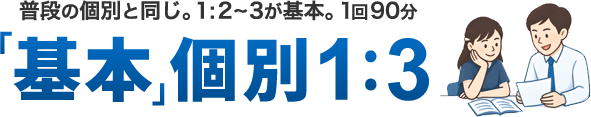 「基本」個別1:3