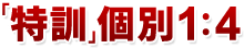 「特訓」個別1:4