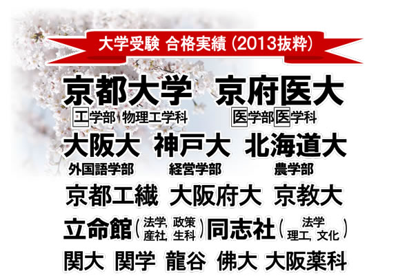 2013�N ��w�󌱍��i����